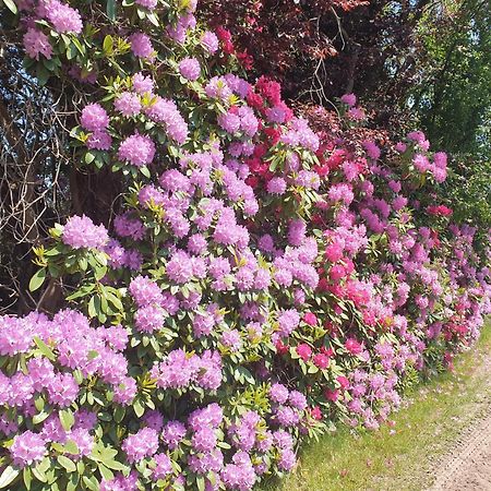 Ferienwohnung Gartenblick Westerstede Luaran gambar