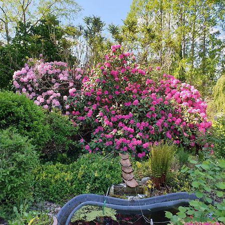 Ferienwohnung Gartenblick Westerstede Luaran gambar