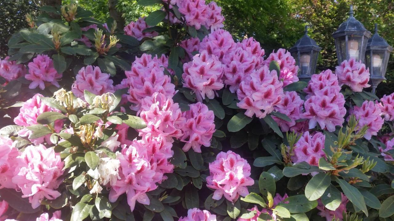 Ferienwohnung Gartenblick Westerstede Luaran gambar