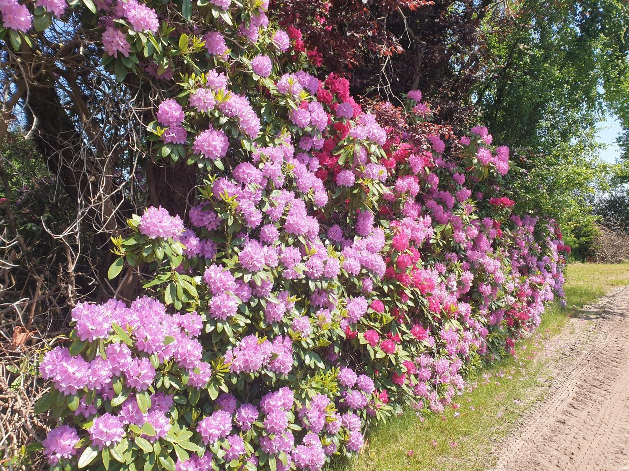 Ferienwohnung Gartenblick Westerstede Luaran gambar