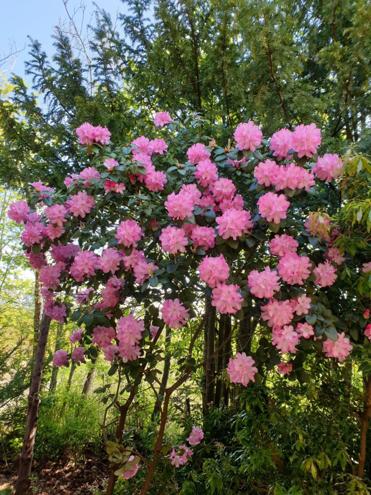 Ferienwohnung Gartenblick Westerstede Luaran gambar