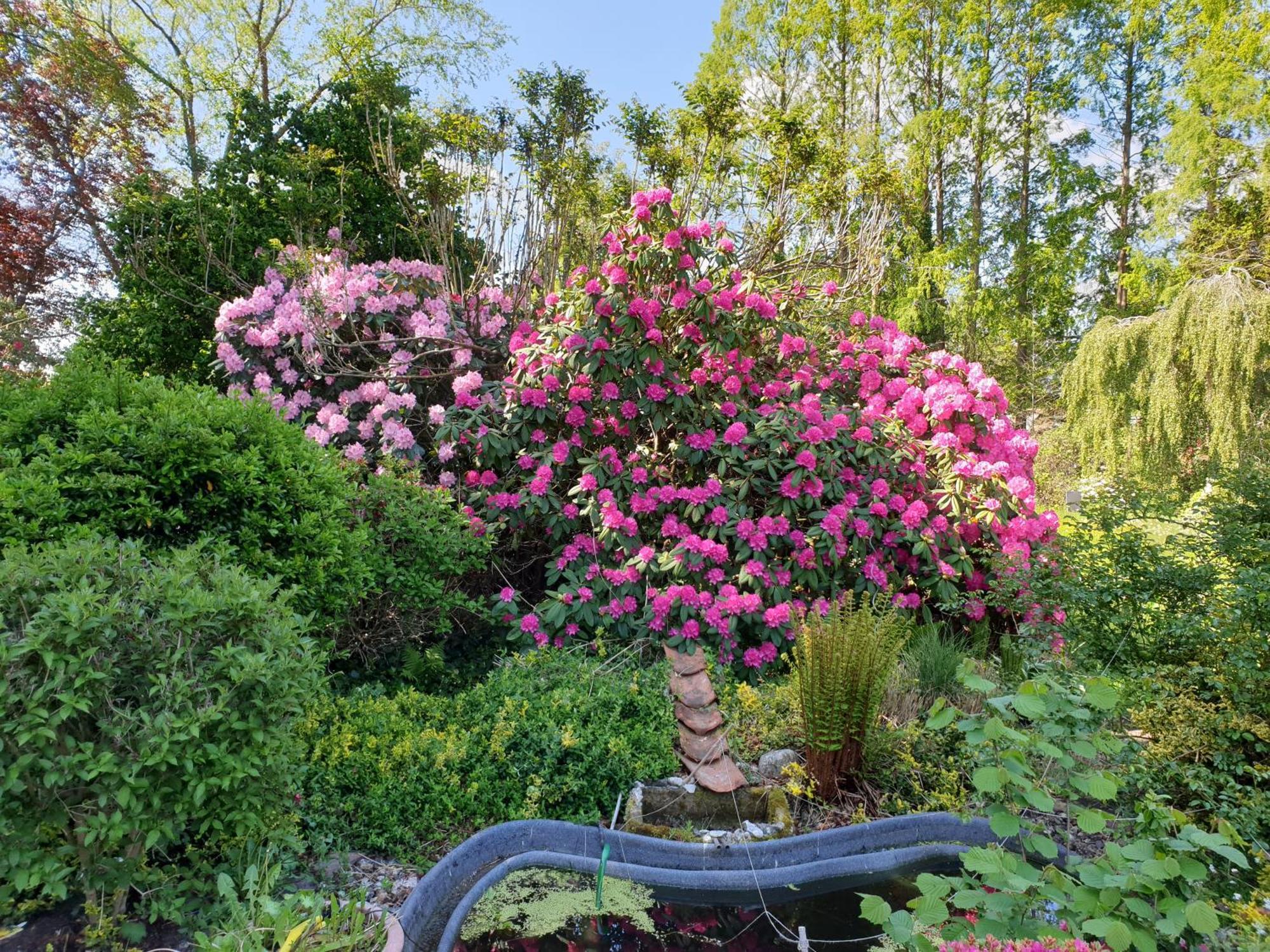 Ferienwohnung Gartenblick Westerstede Luaran gambar