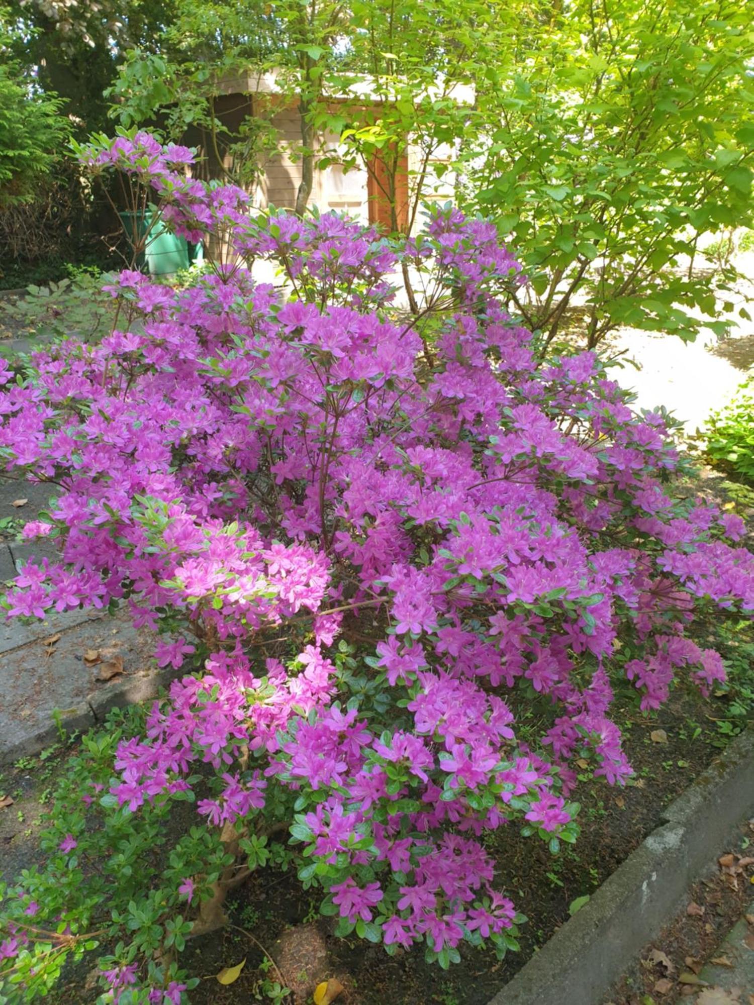 Ferienwohnung Gartenblick Westerstede Luaran gambar