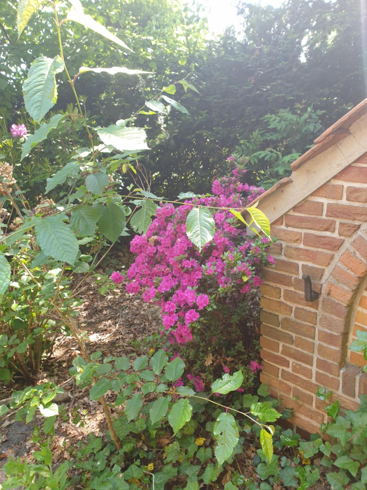Ferienwohnung Gartenblick Westerstede Luaran gambar